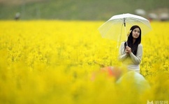 麻花豆传媒MV在线播放智库百科